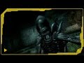 Aliens vs Predator: Видео-инструкция молодого бойца