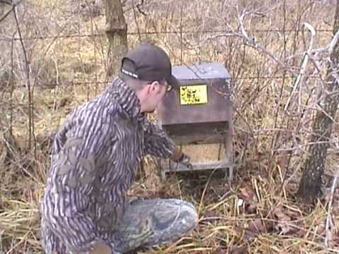 How To: Make an Antler Trap - YouTube