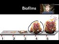 Biotic and Abiotic Factors