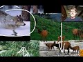Biotic and Abiotic Factors