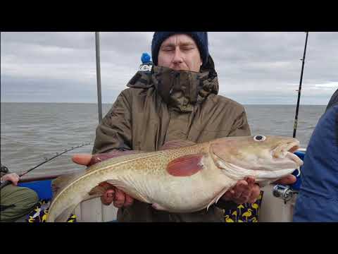 3 to 10 Hour Fishing Trips, Scarborough