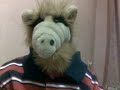 Gordon 'ALF' Shumway in my Room