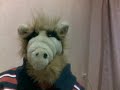 Gordon 'ALF' Shumway in my Room