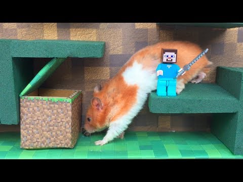 MINECRAFT HAMSTER MAZE - Funny Pet Hamster in MineCraft Obstacle Course