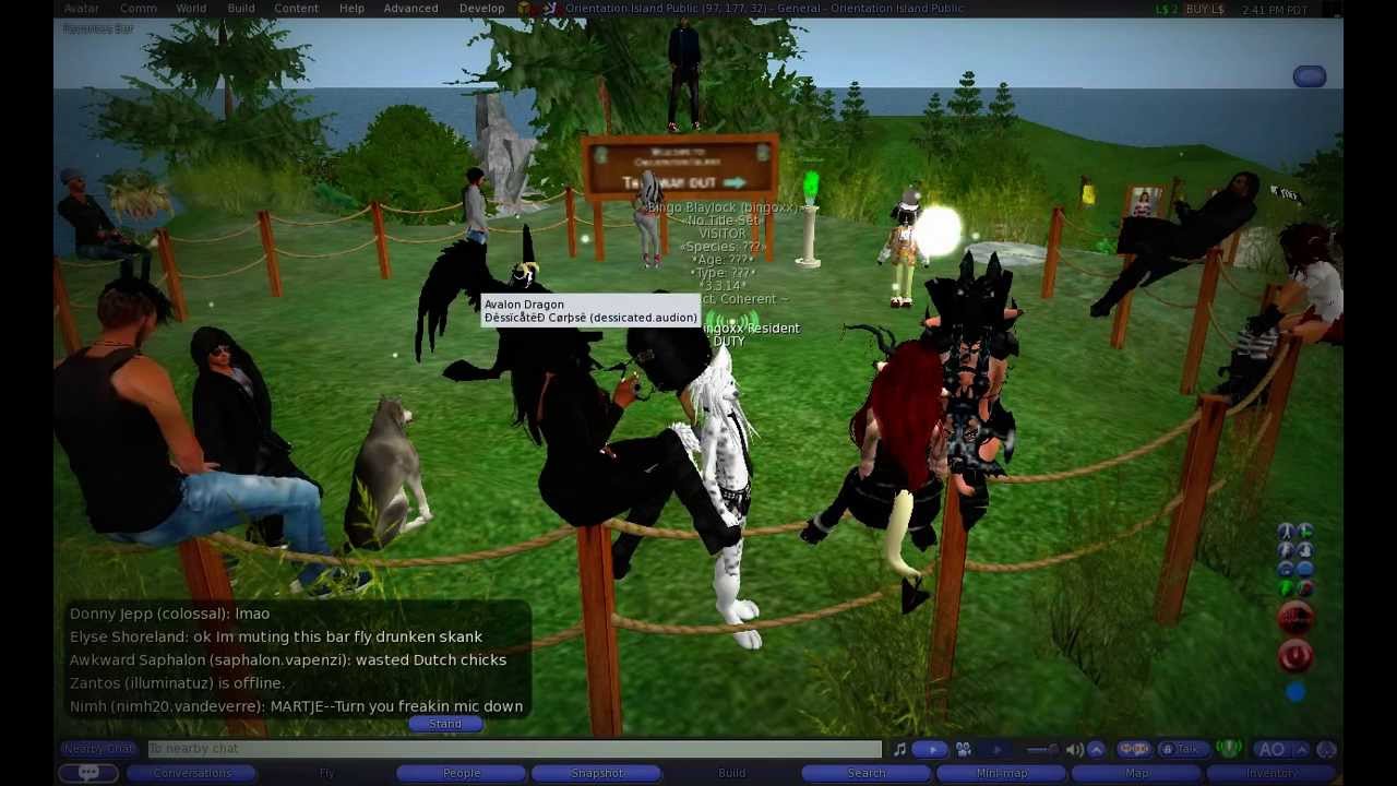 Second Life Trolling: bingo vs mew furry junction - YouTube