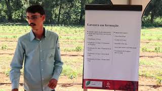 Herbicidas e Mulching no controle de Daninhas em café Victor Gonçalves Dia de Campo Fazenda AUMA