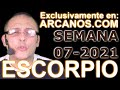 Video Horscopo Semanal ESCORPIO  del 7 al 13 Febrero 2021 (Semana 2021-07) (Lectura del Tarot)