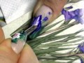 Роспись на ногтях. Гладиолусы Роспись на ногтях. Гладиолусы