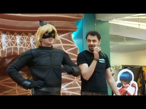 black cat and lady bug show