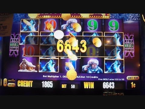 Wolf slot machine big win