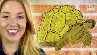 What is the Slowest Thing on Earth? - Zoo La La (Ep 53) - Earth Unplugged