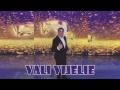 Colaj manele cu VALI VIJELIE si PRIETENII vol 1