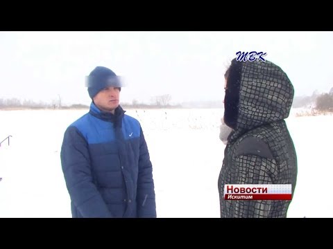 Искитимец вытащил с берега человека, которому стало плохо
