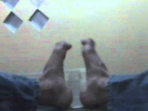 Ciuman hot - YouTube