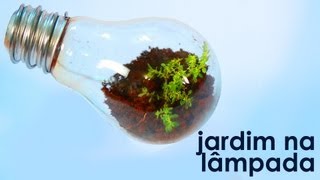 Jardim na lâmpada (como fazer um terrário em uma lâmpada)