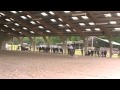 Billy Open Normandie Show
