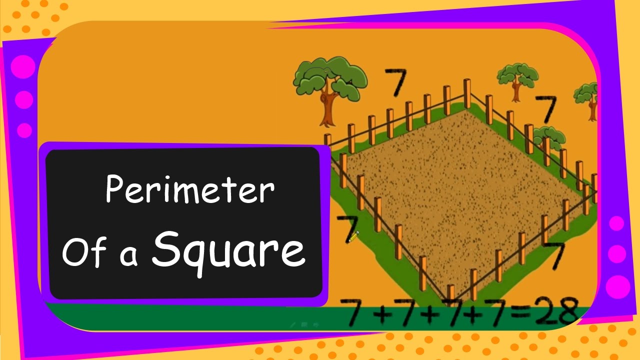 Maths - Perimeter of a Square - English - YouTube