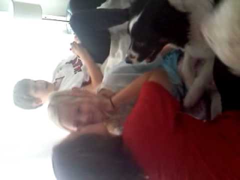 Dog kissing little girl. Happy Holidays - YouTube