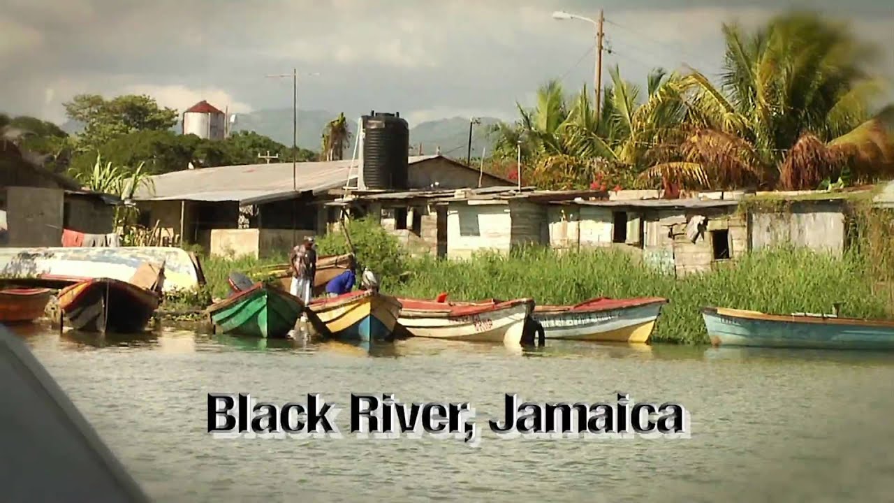 Black River Safari, Jamaica YouTube
