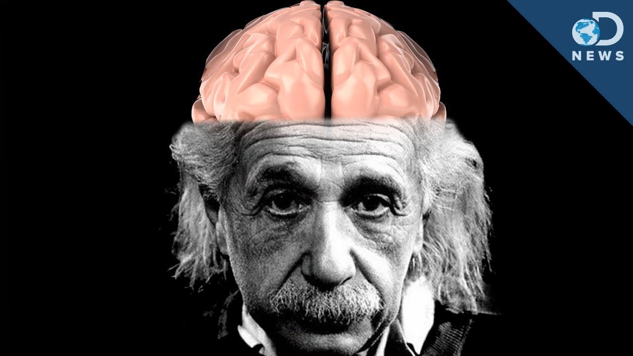 How Einstein's Brain Is Different Than Yours - YouTube