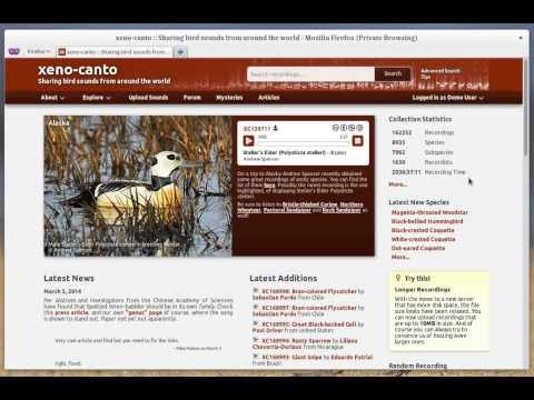 Xeno-canto