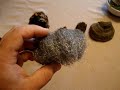 Char True Tinder Fungus / Char Chaga