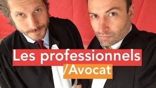 Les professionnels / avocat