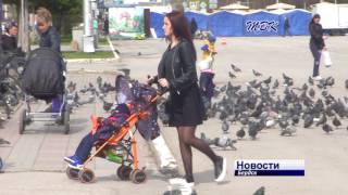 Бердчане стали реже разводиться и чаще вступать в брак