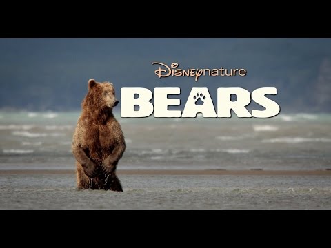 Bears (2014)