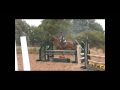 Dusty Warren riding Diva Star (Gambler's Choice)