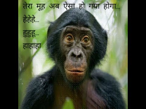Funny Rajasthani Funny Rajasthani