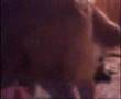 Perros Haciendo El Amor - Youtube