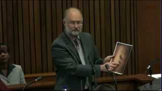 Oscar Pistorius Trial: Wednesday 16 April 2014, Session 1