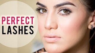 Perfect Lashes