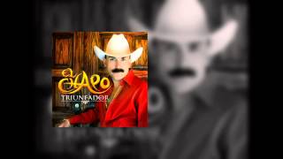 El Chapo De Sinaloa - Tu Golpeador (Audio)