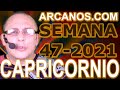 Video Horscopo Semanal CAPRICORNIO  del 14 al 20 Noviembre 2021 (Semana 2021-47) (Lectura del Tarot)