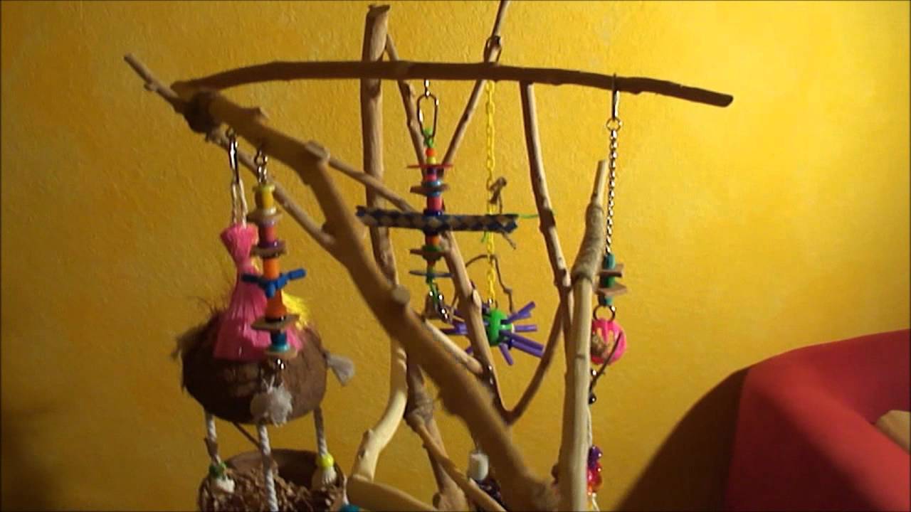 How to make an inexpensive parrot tree play stand YouTube