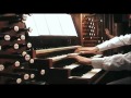Récit (Extrait des Caprices en trompe l'oeil - 2006) - Laurent Carle