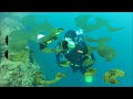 GoPro dive housing and Backscatter dive housing for GoPro