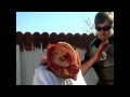 The Cold Steel Heavy Machete Test! Zombie Apocalypse Survival! How to Kill a Zombie.