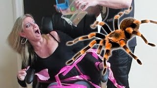 TERRIFYING TARANTULA PRANK