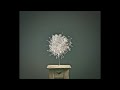 MUSO - MALIBU BEACH (Official Video)