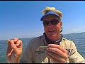 Addictive Fishing: Tampa Tactics - INSHORE FISHING for redfish and cobia