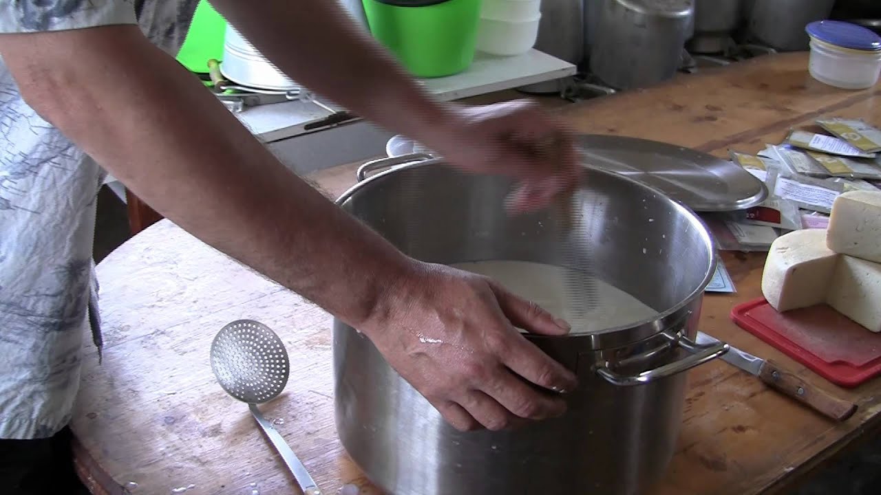 Сделать сыр в домашних условиях из молока козьего Сделать сыр в домашних условиях из молока козьего
