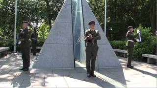 Ceremonial Military Guard - Merrion Square Dublin