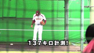 [ニュース]松井、Max137キロ!_20140209