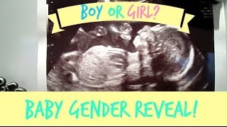 Baby Gender Reveal!