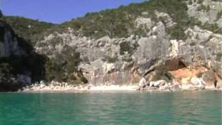 BALENE A CALA LUNA sardegna