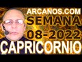 Video Horscopo Semanal CAPRICORNIO  del 13 al 19 Febrero 2022 (Semana 2022-08) (Lectura del Tarot)