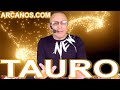 Video Horscopo Semanal TAURO  del 19 al 25 Febrero 2023 (Semana 2023-08) (Lectura del Tarot)